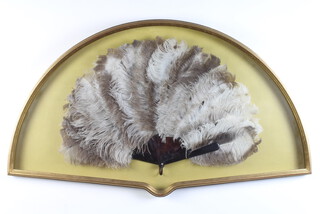A Victorian ostrich feather fan with faux tortoise shell mounts in a fan shaped gilt frame 