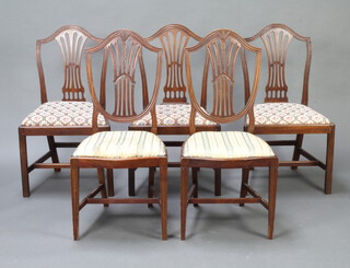 A set of 3 19th Century Hepplewhite style camel back dining chairs with upholstered drop in seats together with a similar pair (5) 