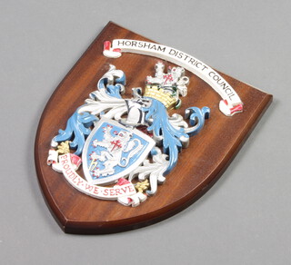 A shield marked Horsham District Council 25cm x 20cm 