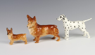A Beswick figure of a Dalmatian no.1763, gloss finish, modelled by Mr Garbet 8.9cm, Royal Doulton figure of a Corgi 5.5cm together with an Adderley ditto 10cm 