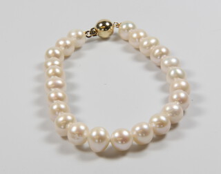 A cultured pearl bracelet with 9ct clasp 18cm 