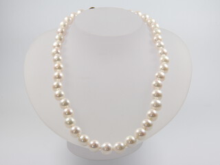 A string of cultured pearls 43cm with a 9ct clasp