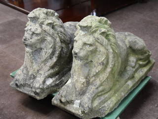 A pair of well weathered reconstituted stone figures of lions, raised on rectangular bases 45cm h x 70cm l x 31cm w