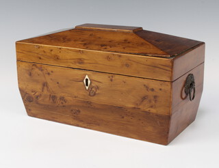 A Georgian yew twin compartment tea caddy of sarcophagus form with ring drop handles, the hinged lid revealing two caddies and an associated glass mixing/sugar bowl 17cm h x 31cm w x 15cm d 