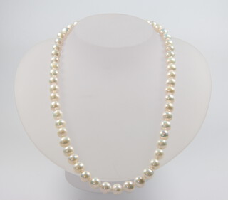 A string of cultured pearls with a 9ct clasp 44cm 