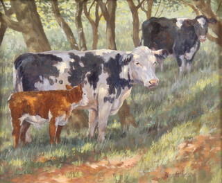 **Donna Crawshaw, born 1960, oil on board signed, study of cattle beneath trees 24cm x 30cm PLEASE NOTE - Works by this artist may be subject to Artist's Resale Rights