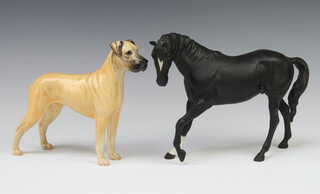 A Beswick figure of a matt black horse with raised left leg 17cm together with a Beswick figure of a hound, gloss golden colour 17cm 