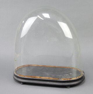 A Victorian oval glass dome 34cm h x 37.5cm, raised on an oval ebonised base  