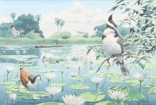 John Tennent (born 1926), watercolour signed, pied Kingfisher in the Okavango Swamp 38cm x 56cm 