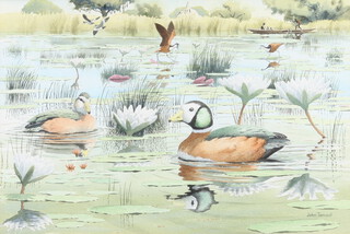 John Tennent (born 1926), watercolour signed, Pygmy geese in the Okavango Swamp 36cm x 55cm 