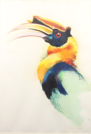 Ernest Leon, mixed media signed, study of a Toucan, 95cm x 67cm  