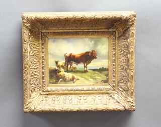 20th Century oil on board, livestock study contained in a fancy gilt frame 19cm x 24cm 