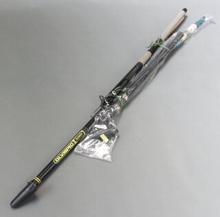 Five telescopic fishing rods, 2 beach casting rods, a carp rod and 2 spinning rods 