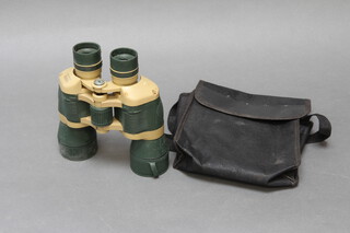 A pair of 10 x 50 binoculars with carrying case
