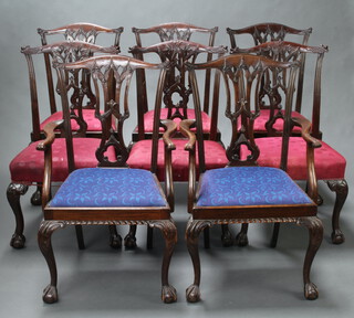 A harlequin set of 8 Chippendale style pierced slat back dining chairs comprising  2 carvers and 6 standard (made up of 2 sets of 3), raised on carved cabriole supports (one set of 3 have drop in seats, 1 back heavily restored, the other with overstuffed seats) 