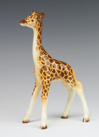 A Beswick figure of a giraffe, small 853, modelled Arthur Greddington, natural gloss 18.4cm  