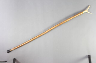 An antler handled wading fishing staff