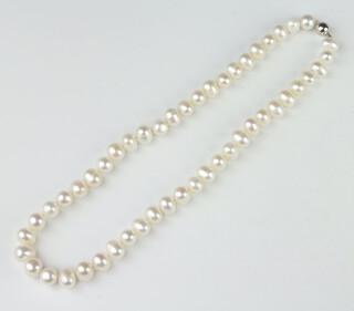 A string of cultured freshwater pearls with a 9ct white gold ball clasp 54cm 