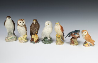 A Beswick owl 11cm, ditto bird of prey 16cm, kingfisher 11cm (stuck beak), osprey whisky flask 19cm, a Whyte & Mackay barn owl 17cm, ditto buzzard 17cm and a Royal Doulton snowy owl 15cm