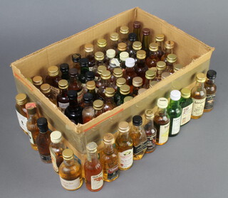 57 various miniature bottles of malt whisky including Connoisseurs Choice, Blair Athol, Glenkinchie, Inchgower, Bladnoch, Bruichladdich, Tamnavulin, Glenturret, Old Elgin, Glendronach, Glenfarclas etc, together with a Wild Turkey and Southern Comfort etc, some low on the neck 