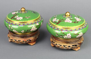 A pair of green ground cloisonne enamelled jars and covers decorated birds 9cm x 10cm on hardwood bases 