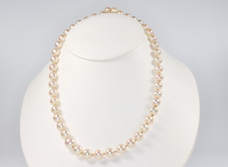 A single strand of cultured pearls with a 14ct yellow gold jade set clasp 58cm 
