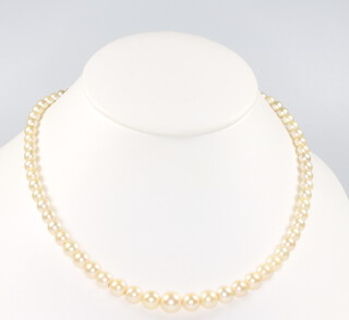 A string of cultured pearls with a 9ct yellow gold garnet and pearl clasp 42cm 