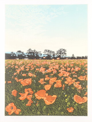 20th Century print, no.177 of 295, indistinctly signed in pencil, field of poppies 39cm x 29cm  