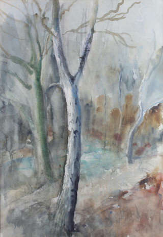 E Scott-Moore, watercolour unsigned, woodland study, label en verso, unframed 52cm x 36cm 