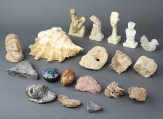 A collection of seashells, geological specimens, curios etc