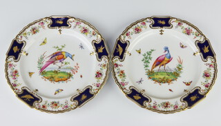 Two Copeland china decorative plates with exotic birds and insects enclosed by floral borders, retailed by T Goode & Sons, 22cm diam