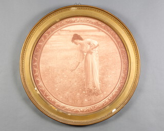 An Edwardian circular print of a lady picking flowers in a field 51cm 