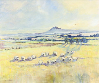 M McShane, oil on canvas signed, extensive landscape with sheep 50cm x 60cm 