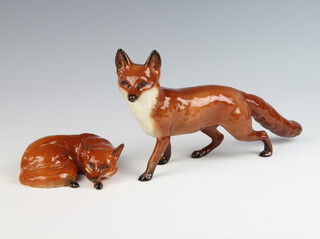 A Beswick figure of a standing fox by Arthur Gredington , gloss brown 1016A 12cm, ditto of a curled fox by Arthur Gredington brown gloss 1017 10cm 
