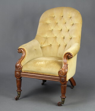 A William IV show frame rosewood tub back chair upholstered in yellow buttoned material, raised on turned and reeded supports 96cm h x 62cm w x 59cm d (seat 35cm x 46cm) 