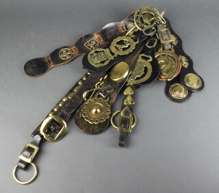 Six leather martingales hung horse brasses 