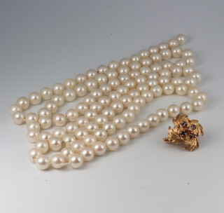 A 14ct yellow gold sapphire set floral necklace clasp 4.9 grams and a loose string of cultured pearls