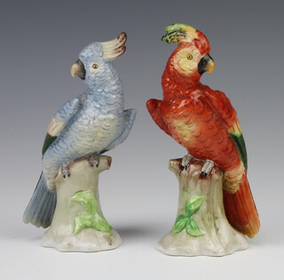 A pair of 20th Century Sitzendorf parakeets 15cm 