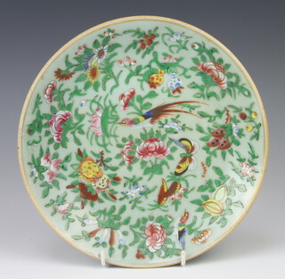A 19th Century Celadon on famille rose plate decorated with an exotic bird amongst insects and flowers 13cm 