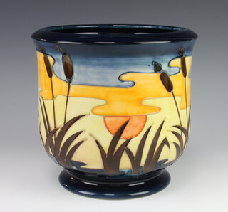 A contemporary Moorcroft jardiniere decorated with bullrushes 22cm 