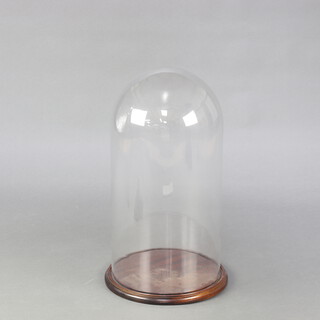 A 20th Century glass dome 55cm h x 30cm diam. raised on a turned mahogany base 
