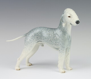 A Nymphenburg figure of a Bedlington Terrier 18cm 