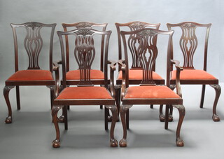 A set of 6 Edwardian Chippendale style mahogany slat back dining chairs with pierced carved vase shaped backs and upholstered seats, raised on carved cabriole supports - 2 carvers 100cm h x 54cm w x 50cm d (seats 30cm x 30cm) and  4 standard chairs 98cm h x 50cm w x 47cm d (seats 30cm x 31cm)  