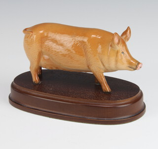 A Royal Doulton figure of a pig raised on an oval base 8cm 