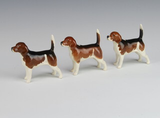Three Beswick Beagles - Wendover Billy 1939 gloss, 7.6cm modelled by Arthur Gredington and 2 gloss 7.7cm 