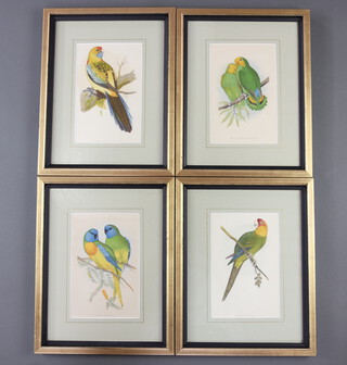 19th Century coloured book plates "West African Love Bird, Yellow Rumped Parakeet, Splendid Parakeet and Carolina Parrot" 20cm x 13cm  