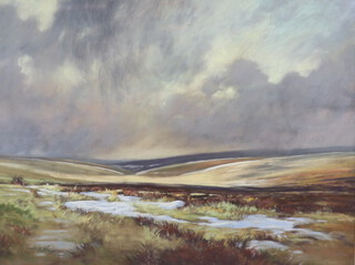 Barry Watkin, pastel signed, extensive West Country moorland scene 47cm x 60cm 