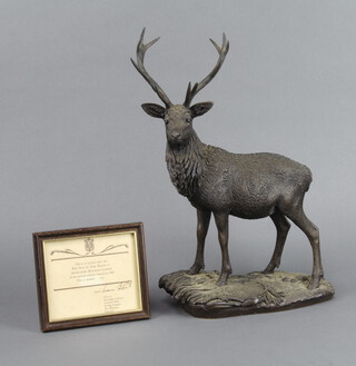 After Tom Mackie for Heredities Ltd, a limited edition bronzed figure of a standing stag 330/500 complete with framed certificate and box 37cm h x 21cm w x 9cm d