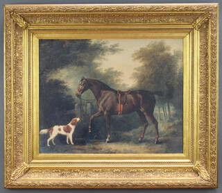 Equestrian study, varnished print of horse and dog on board 40cm x 50cm 