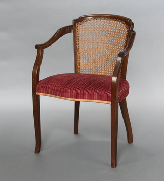 A 1950's walnut open armchair with cane back and overstuffed seat, raised on outswept supports 82cm h x 56cm w x 40cm d (seat 36cm x 30cm)  